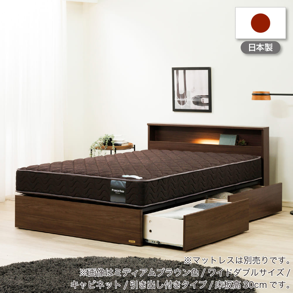 フランスベッド] シングルベッドフレーム チョイスミーCⅠ