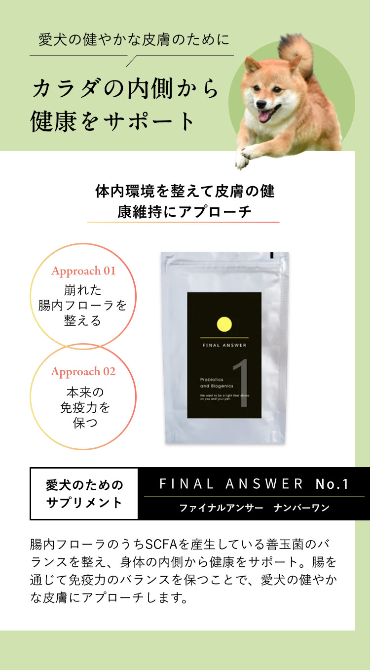 犬猫用の腸内細菌叢バランスを整えるサプリメント