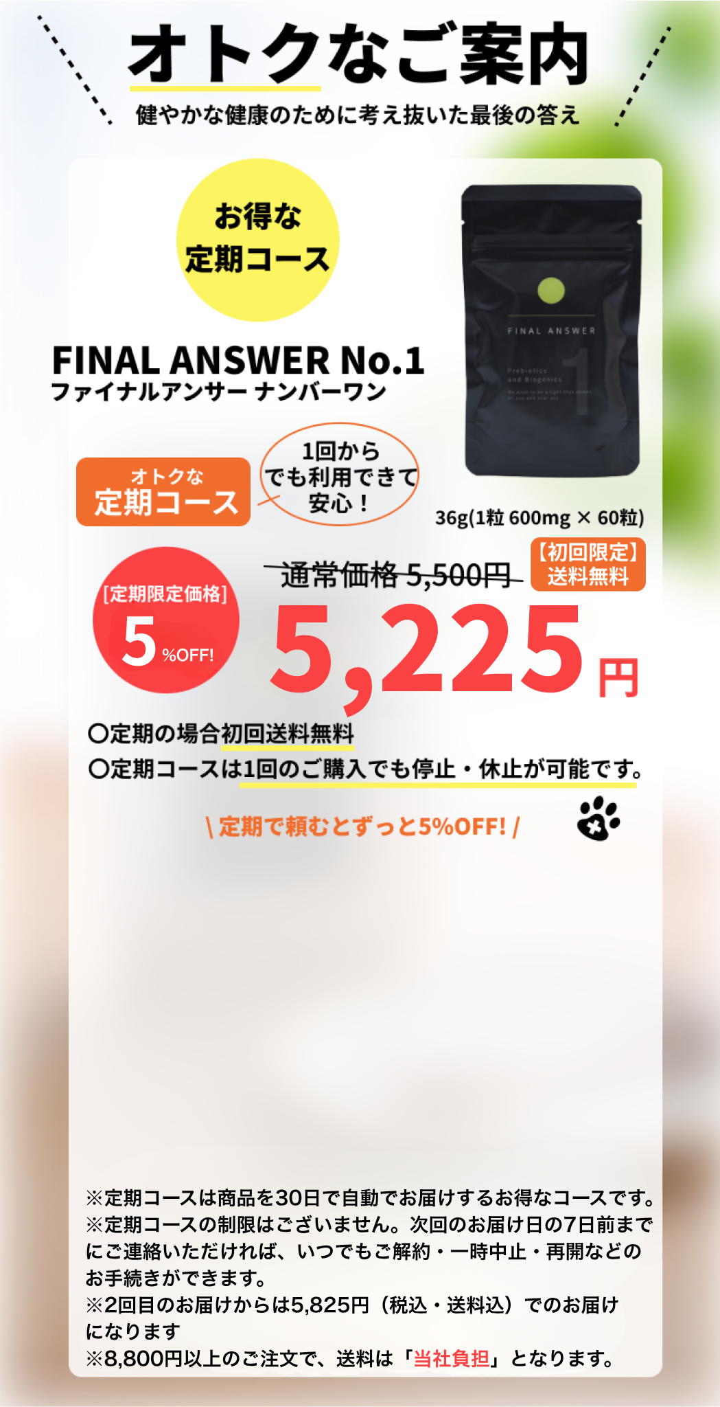FINAL ANSWER No.1 | 獣医皮膚科専門医が本気で作った「カラダの
