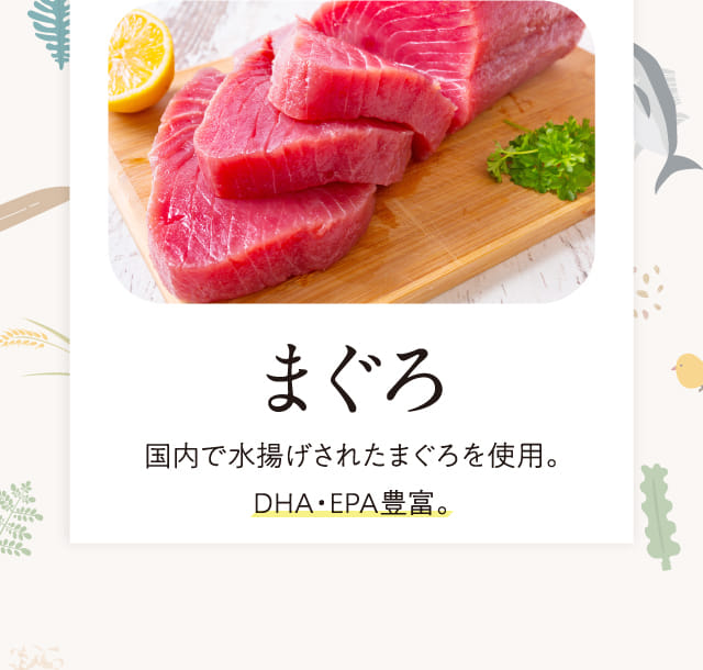 公式】このこのごはん