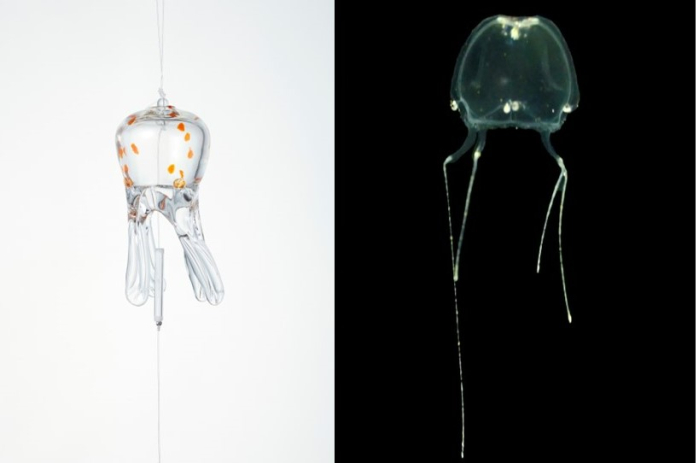 京都水族館】過去最多、24種170個のクラゲ風鈴が夏を飾る 夏限定