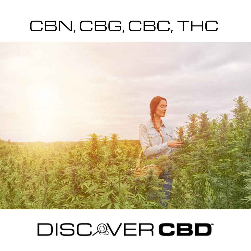 Explore Other Cannabinoids: CBN, CBG, CBC, THC