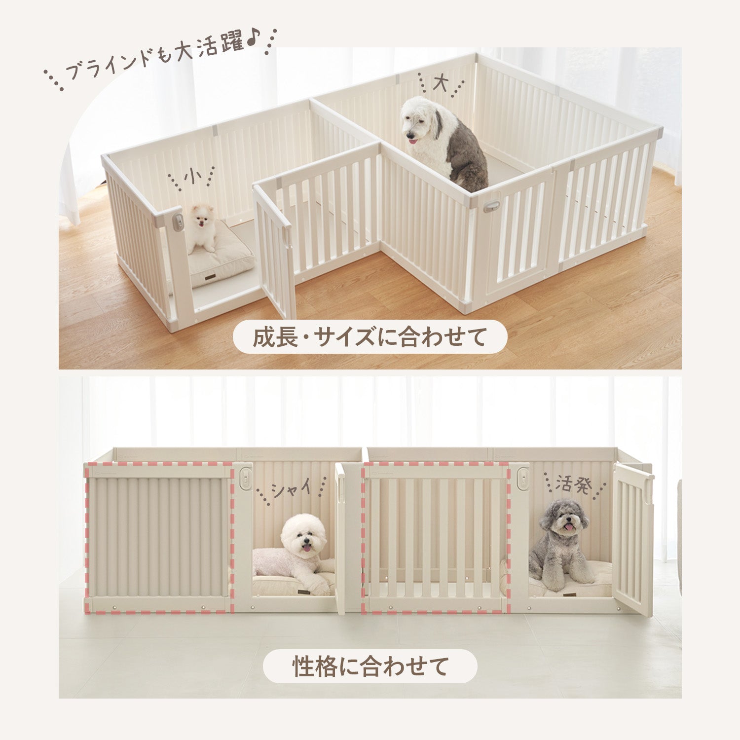 カスタマイズセット新登場！／拡張できるペットルーム【選べる組合せ