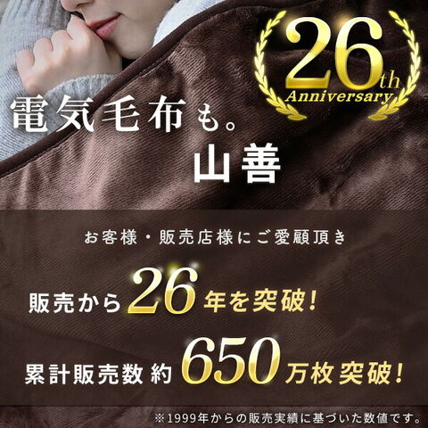 dショッピング |電気毛布 敷毛布 ミニ サイズ 90×50cm 丸洗い ダニ対策