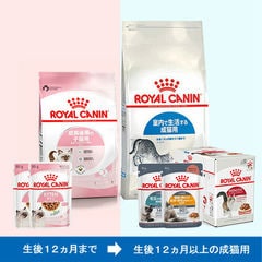 dショッピング |ロイヤルカナン 子猫 キトン 成長後期の子猫用 生後