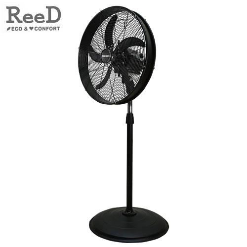 法人宛限定】扇風機 ReeD 強力風スタンドファン 左右首振り 50cm