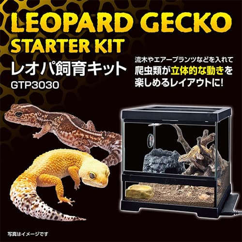 よろずやマルシェ本店 | ジェックス レオパ飼育キット GTP3030 爬虫類