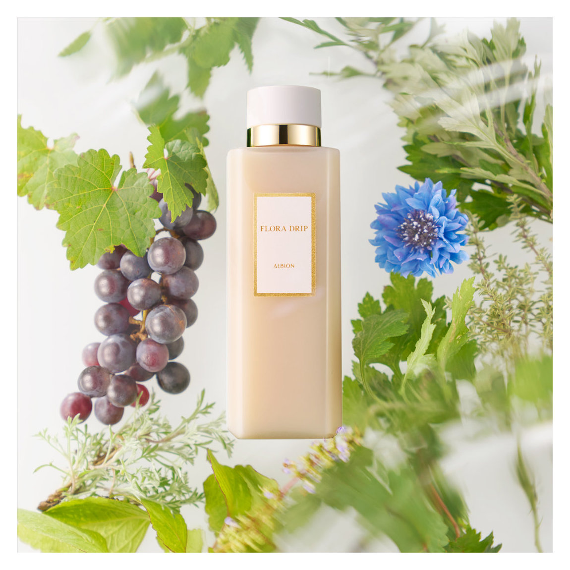 アルビオン フローラドリップ s 160 キット 限定発売｜ALBION