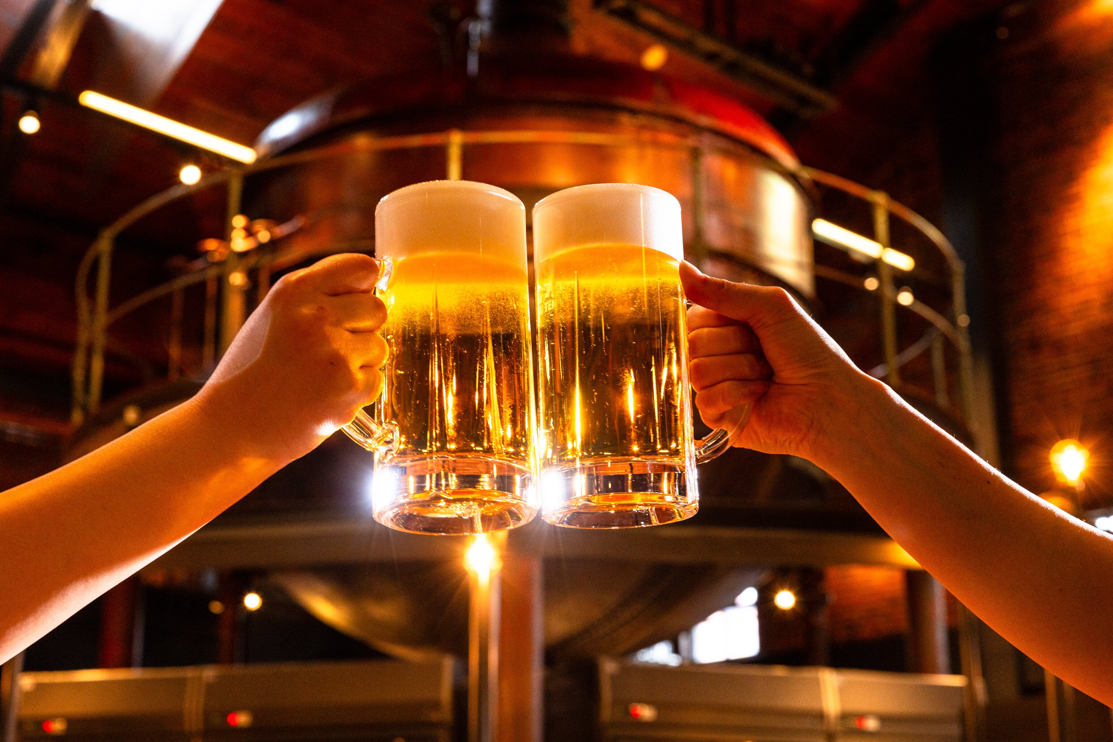 ジンギスカン食べ放題 サッポロビール園 (札幌市) の口コミ1,595件