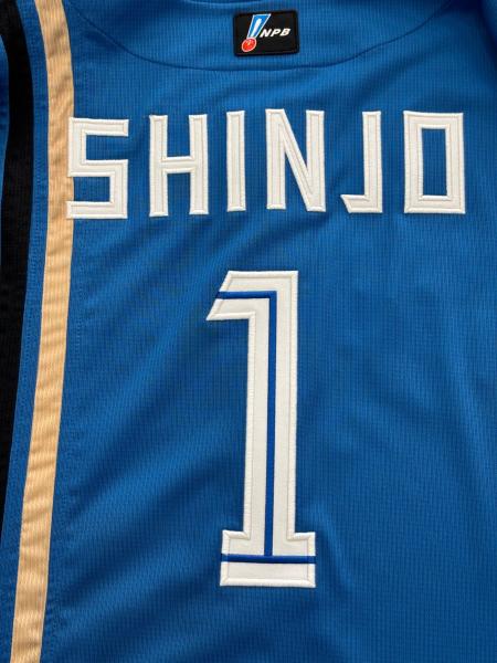 北海道日本ハムファイターズ (ホッカイドウニッポンハムファイターズ