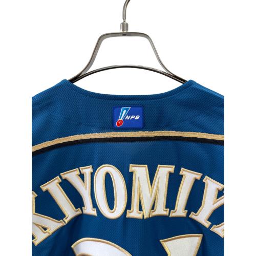 北海道日本ハムファイターズ (ホッカイドウニッポンハムファイターズ