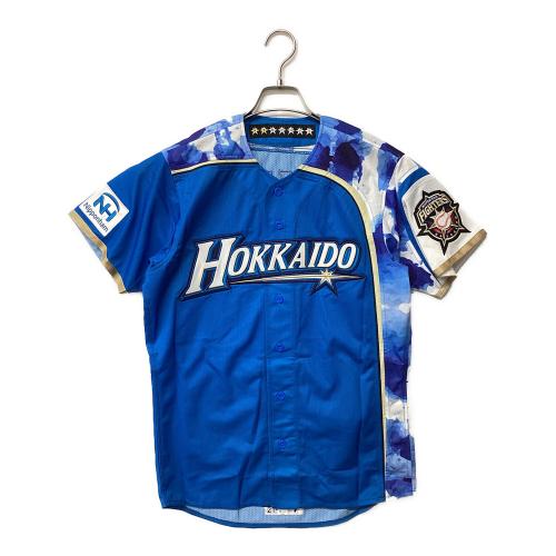 北海道日本ハムファイターズ (ホッカイドウニッポンハムファイターズ