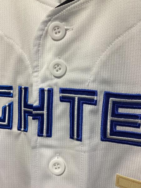 北海道日本ハムファイターズ (ホッカイドウニッポンハムファイターズ