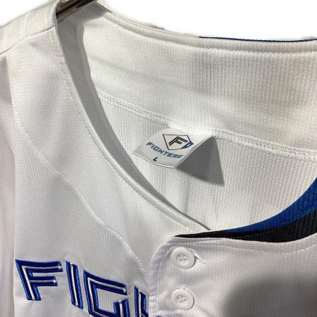 北海道日本ハムファイターズ (ホッカイドウニッポンハムファイターズ