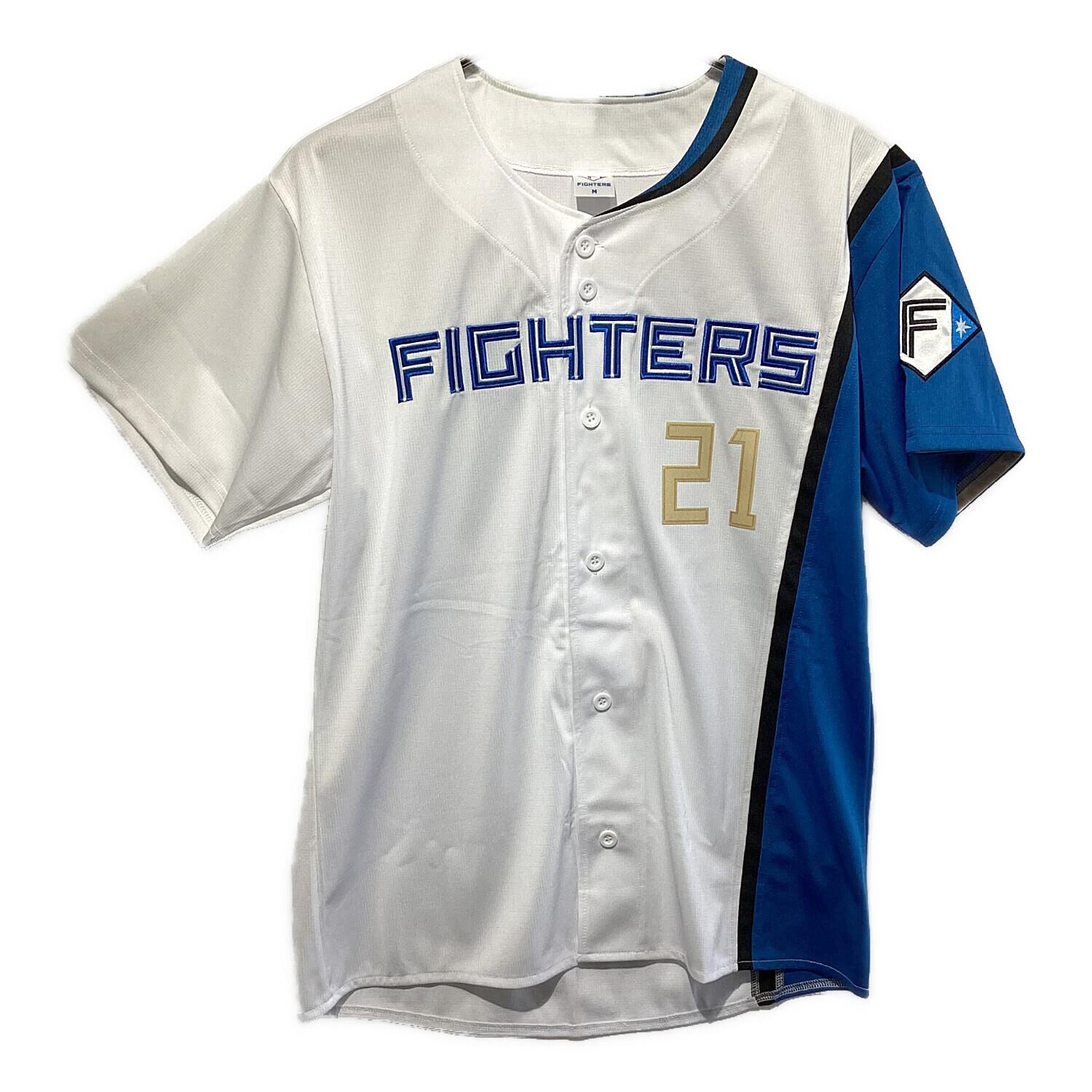 北海道日本ハムファイターズ (ホッカイドウニッポンハムファイターズ