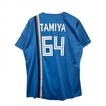 北海道日本ハムファイターズ (ホッカイドウニッポンハムファイターズ