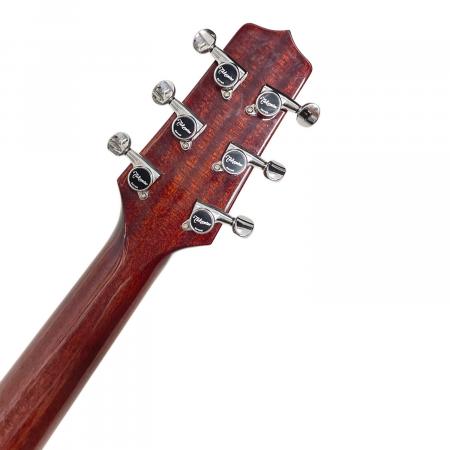 Takamine (タカミネ) エレキアコースティックギター @ Π DSP110 出音