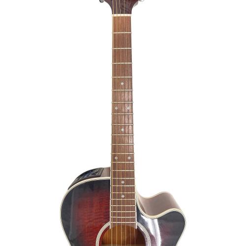 Takamine (タカミネ) エレキアコースティックギター @ Π DSP110 出音