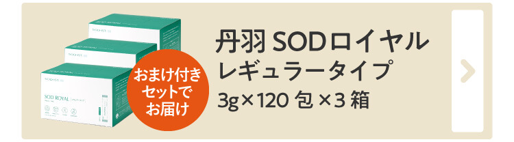 丹羽SODロイヤル レギュラータイプ 3g×120包