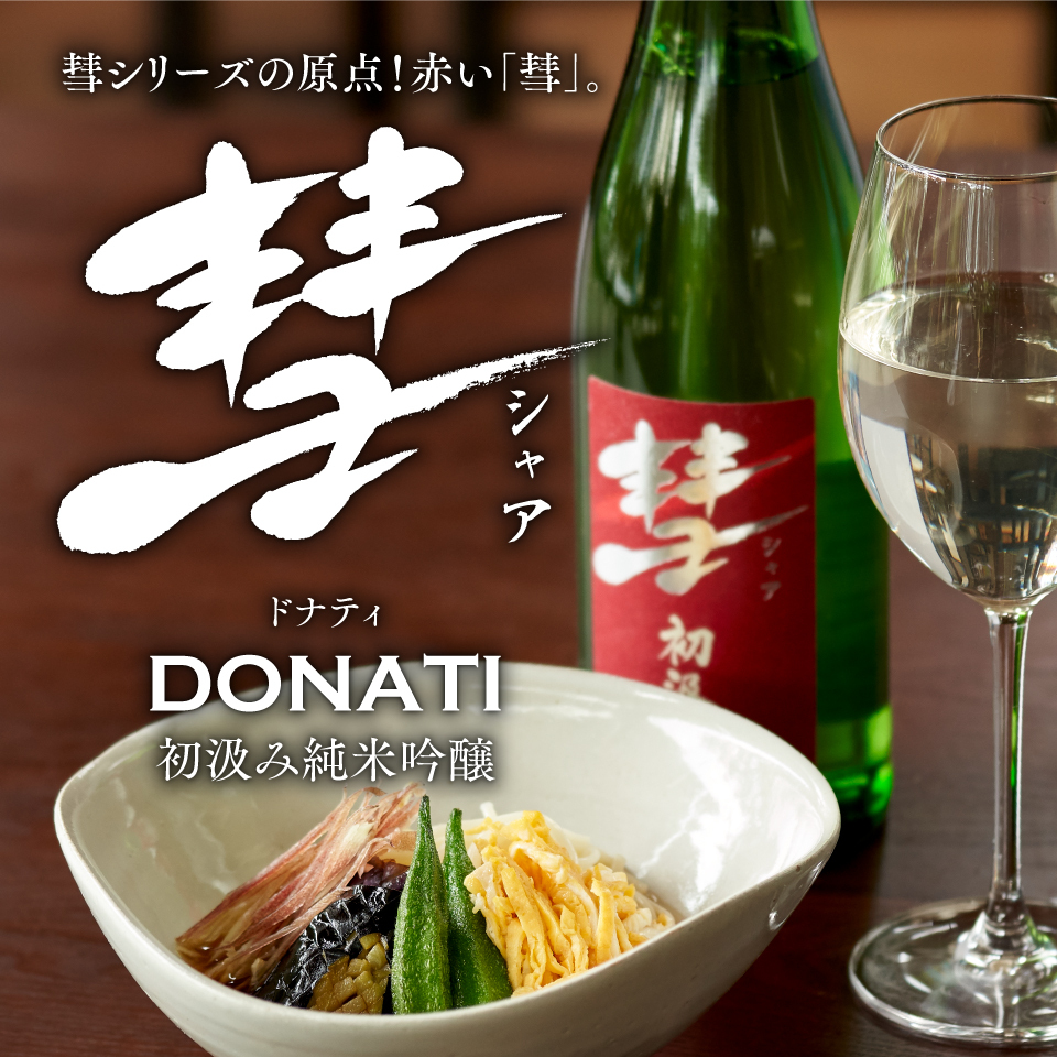 ドルイドの誓い 日本語 4枚セット MTG ドルイドの誓い(EXO) 日本語版4