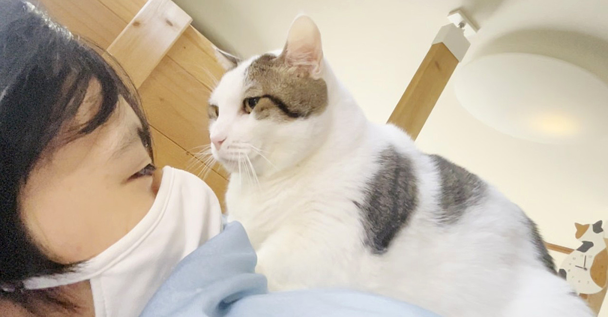 お兄ちゃんのことが好き過ぎて上に乗る猫さん。お兄ちゃんから離れたく