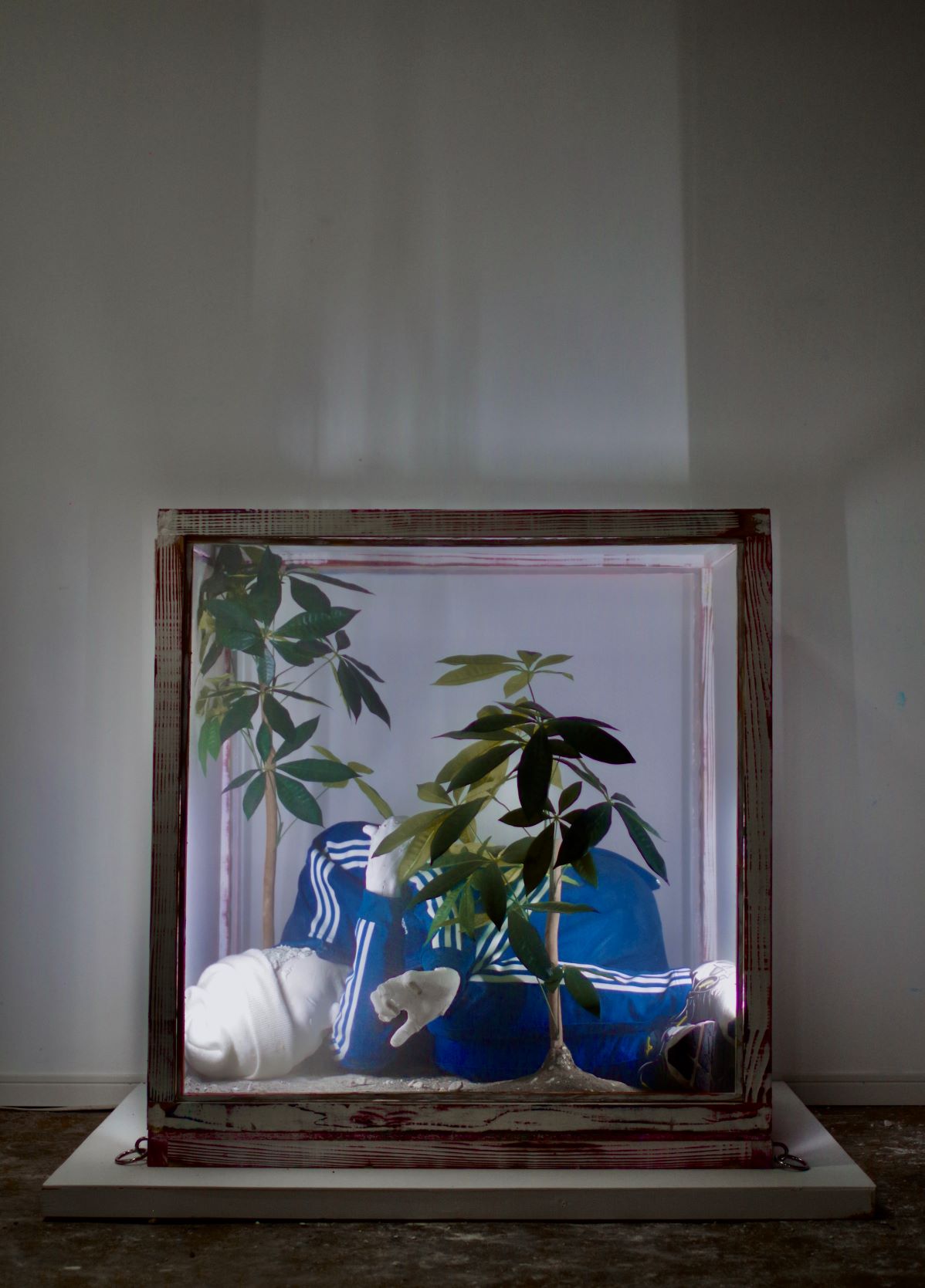 磯村暖のNY滞在後初となる個展「んがんたんぱ」 | EYESCREAM