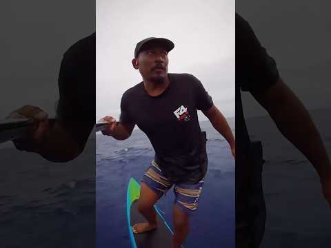 GP Orca – F4 Foils