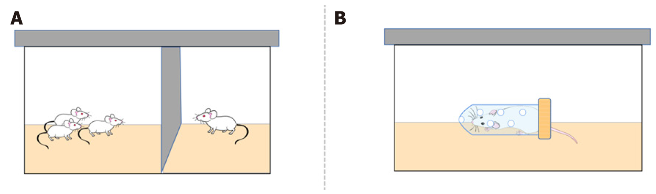 Selecting an appropriate stress model of depression in rodents