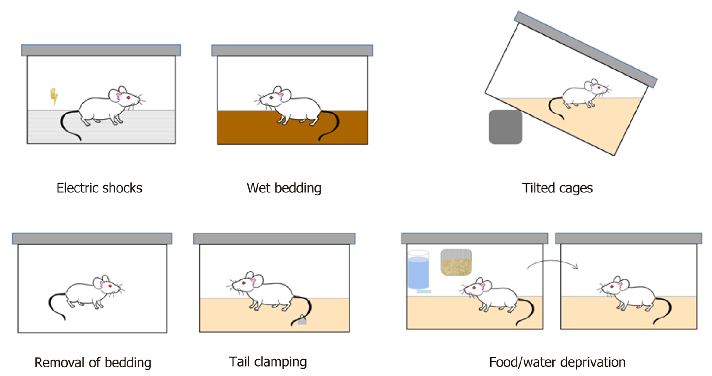 Selecting an appropriate stress model of depression in rodents