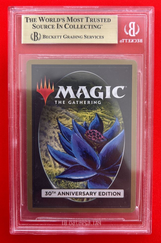 □旧枠□《Taiga》[30A] 土地R | 日本最大級 MTG通販サイト「晴れる屋」