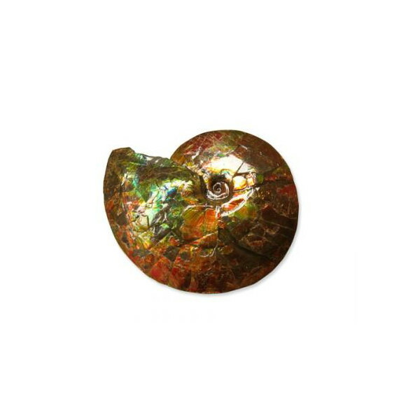 アンモナイト 383g アンモライト オパール 原石 鑑賞石 自然石 誕生石