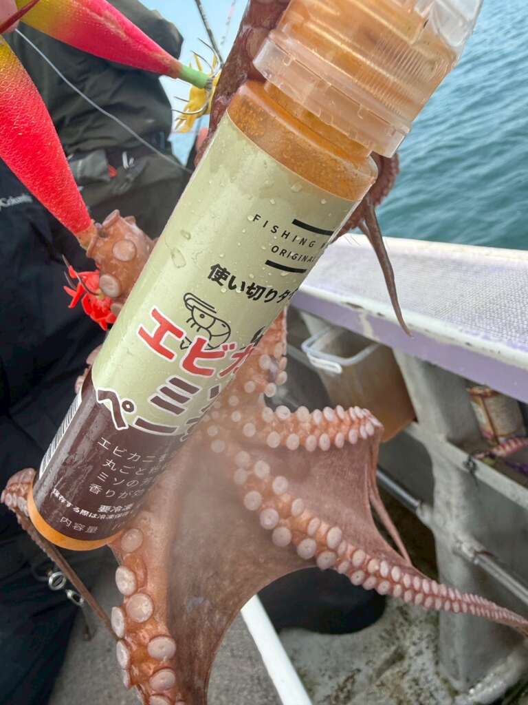 明石タコ釣り開幕！！デカい！！最新の釣果情報をYoutubeにアップしま