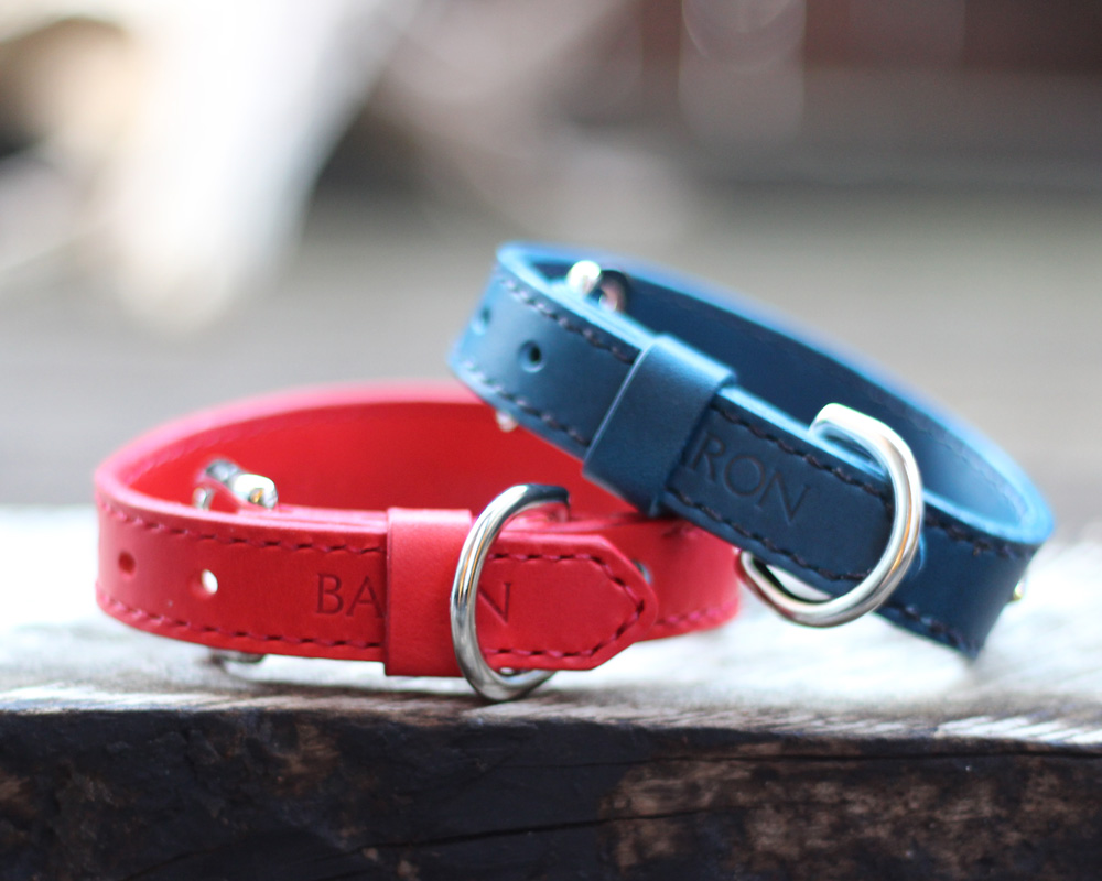 ミニチュアピンシャー BARON 最小20最大30 オーバル型首輪 赤 青 | 革