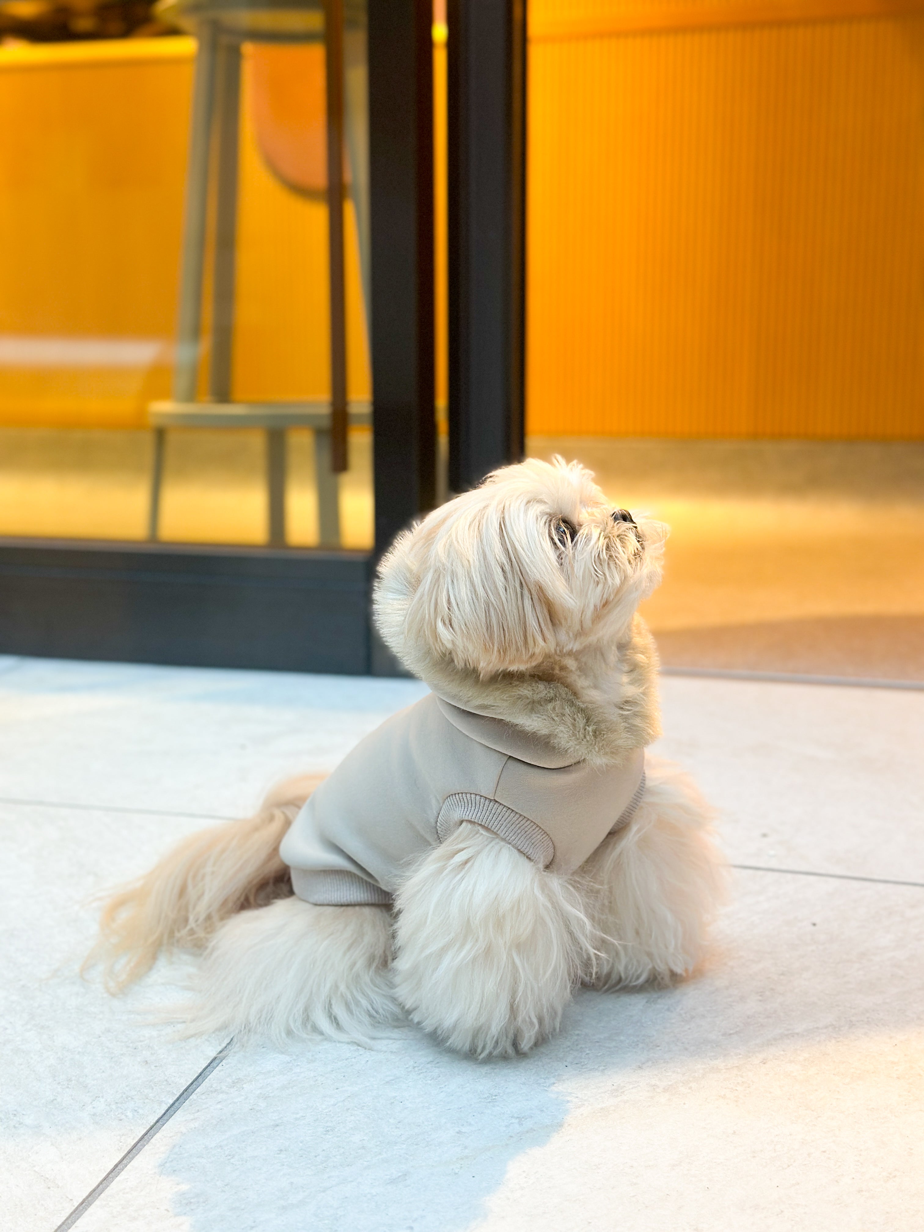 PAWFECTファーパーカー／ベージュ – Forest Tokyo