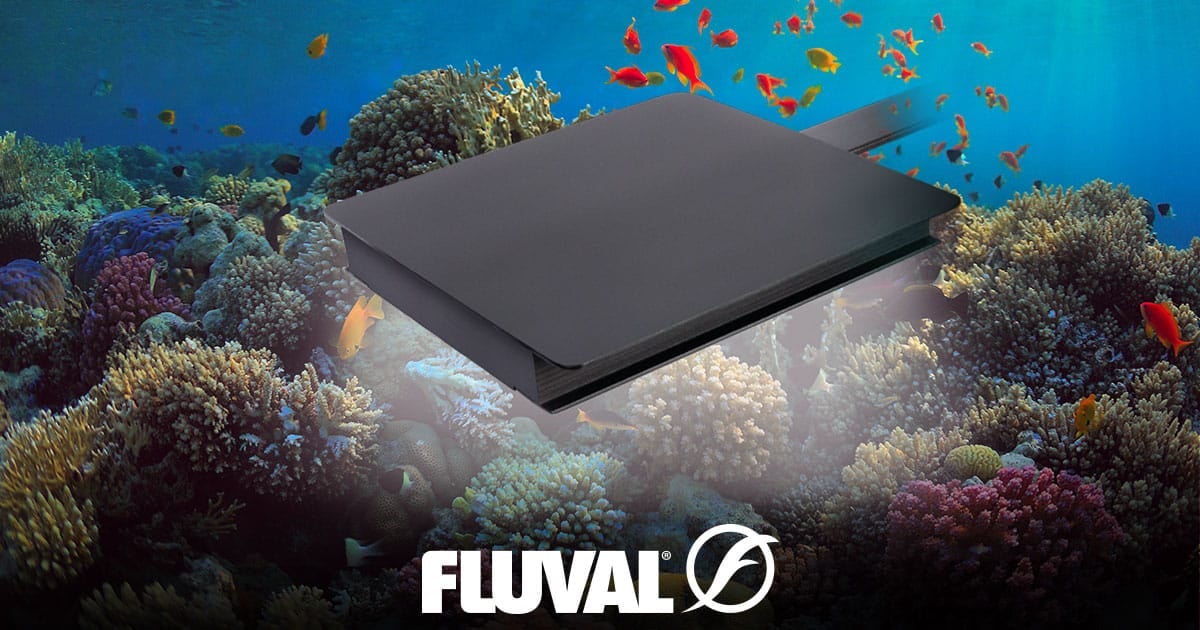 Marine 3.0 Nano Aquarium LED - Fluval USA