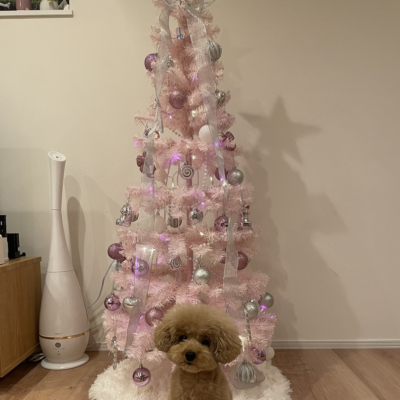 FrancfrancXmasTree スターターセットピンク 150cm Amazon.co.jp