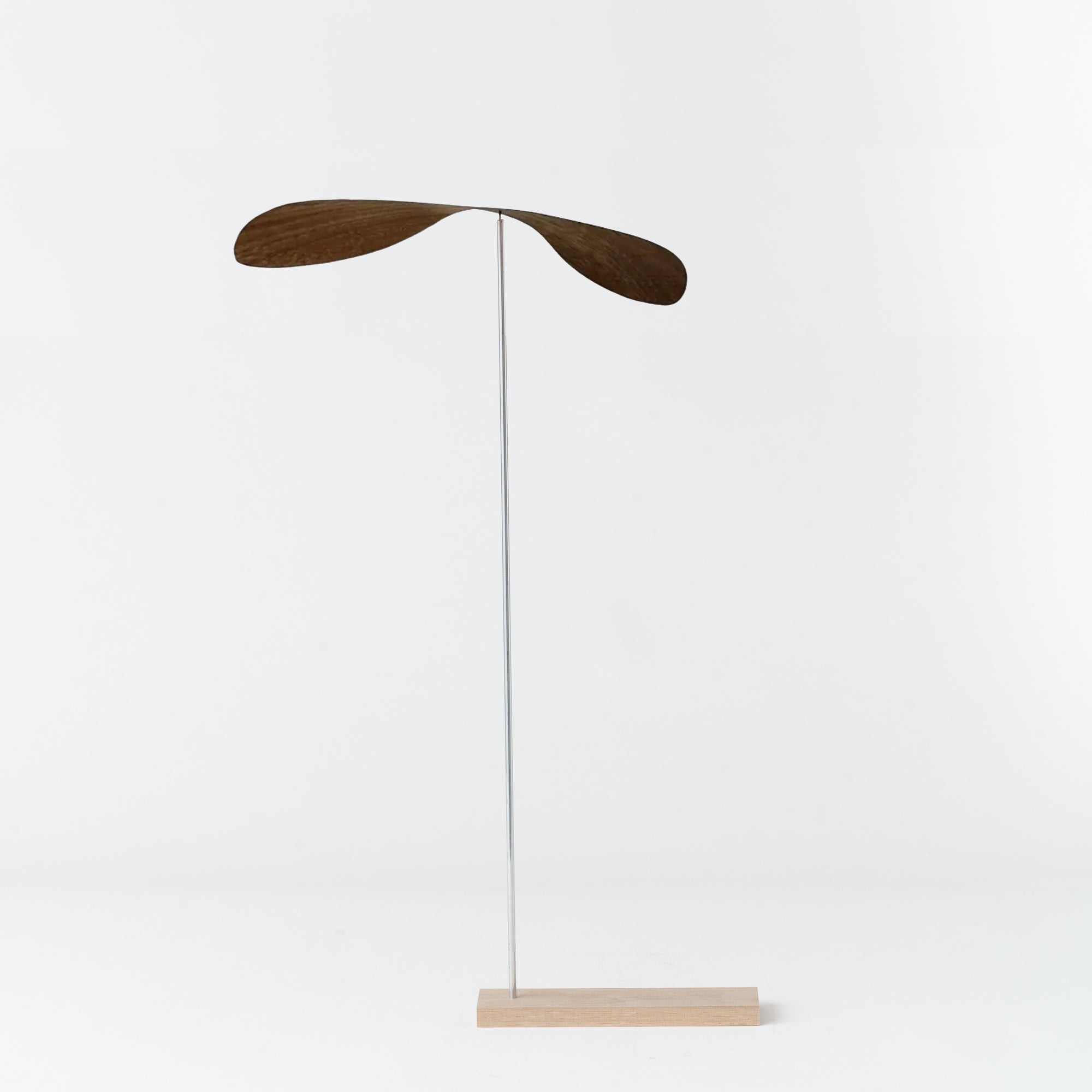 くるくる by MADA Design 若手デザイナーモデル アーティストモデル