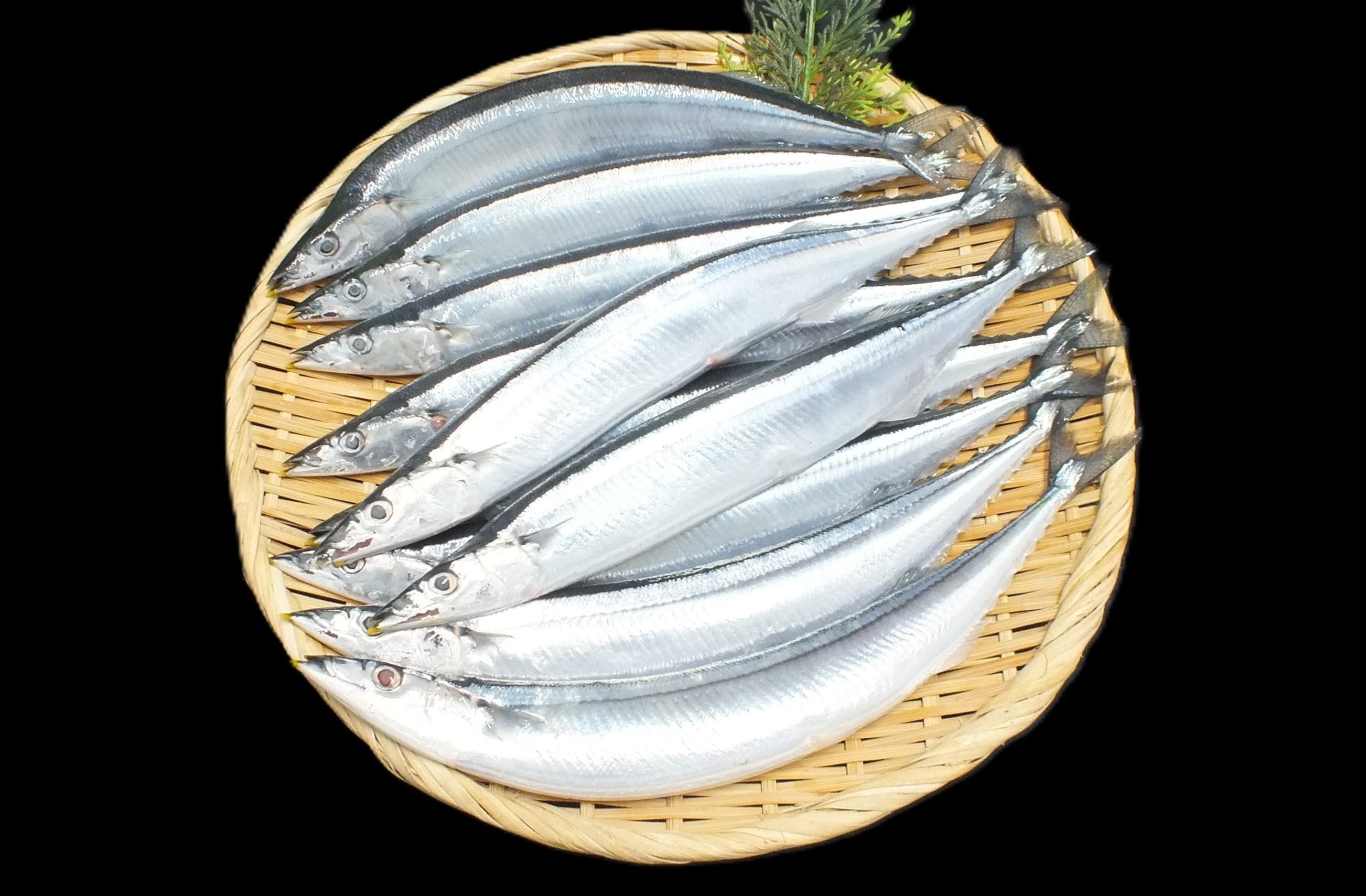 1_1a5bd0ca-4483-406d-b6e5-