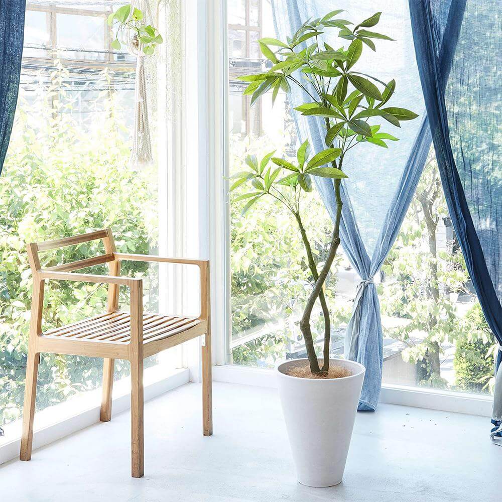 パキラ 高さ145cm (フェイクグリーン 人工観葉植物 オフィスグリーン