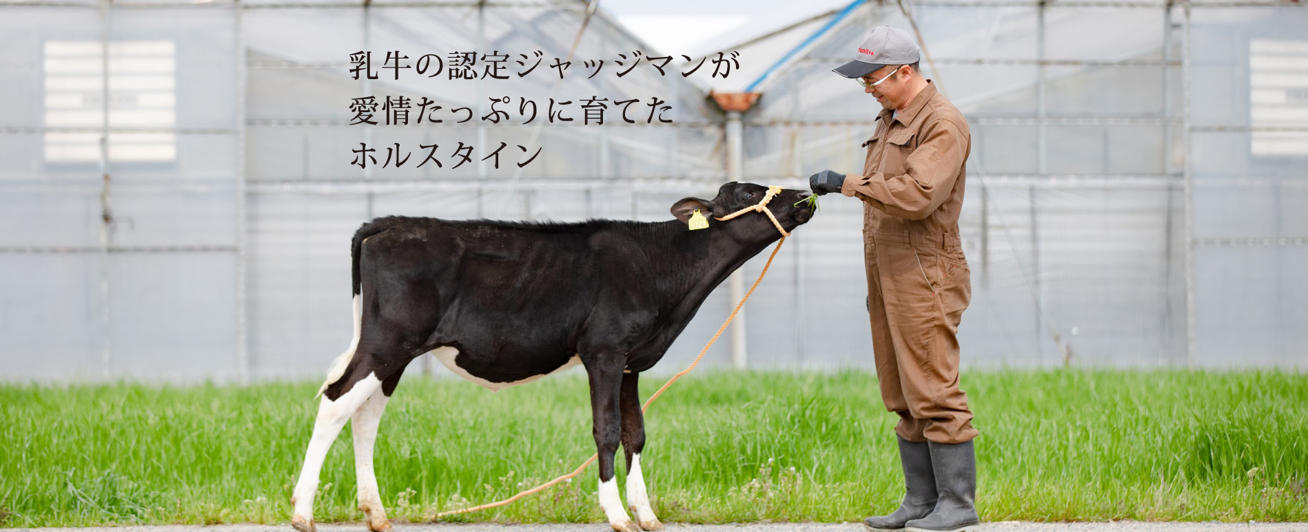 松崎牧場 | 極上ミルクの本格ジェラート＆アイスクリーム