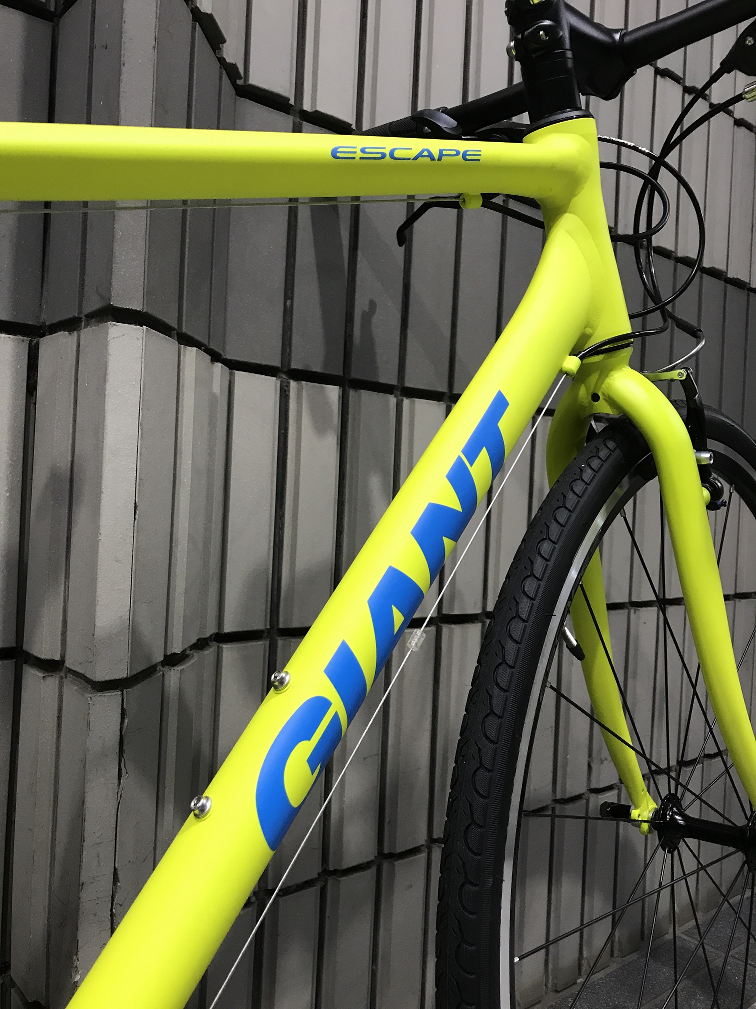 ESCAPE R3いよいよ全カラー勢ぞろいしました！ ｜ ジャイアントストア国立