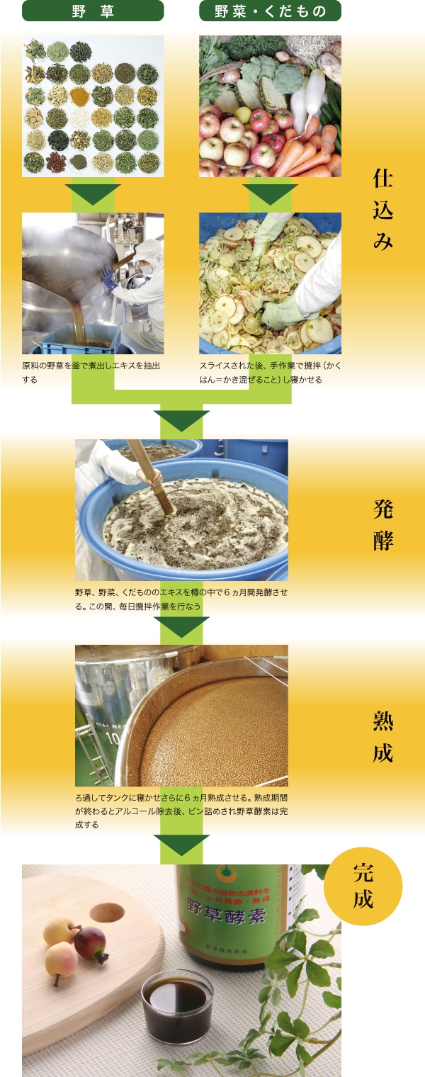 野草酵素 (720ml) - 有限会社野草酵素