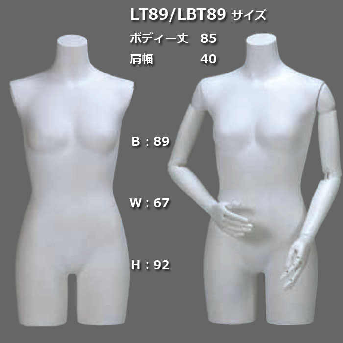 婦人13号 白艶消塗装トルソー 白樹脂製可動腕付 円形スチールスタンド