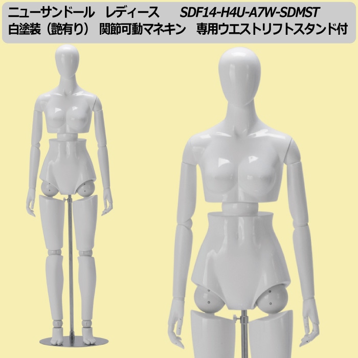 ニューサンドール レディース 白塗装（艶有り） 関節可動マネキン 専用