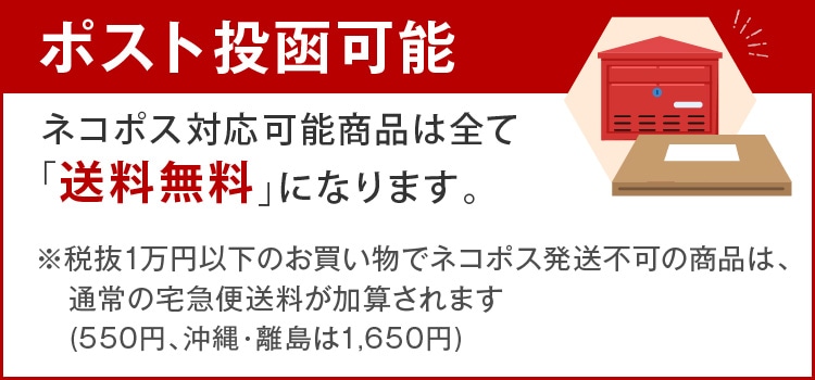 ダブルアールエル) RRL ブレーデッド レザー ブレスレット コンチョ