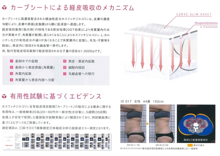 カーブシート 10枚入 痩身ボディ用シート ポイントスリム用パッチ