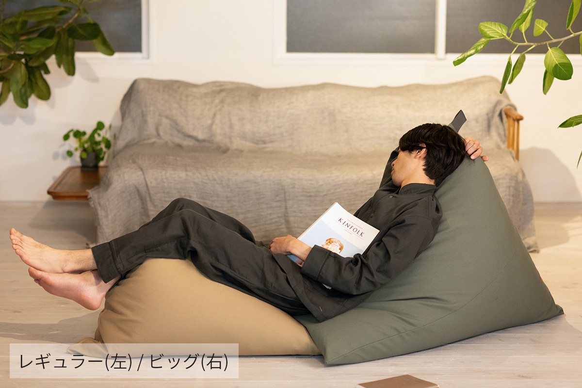 tetra 8号帆布 ビーズクッション テトラ 【レギュラーサイズ