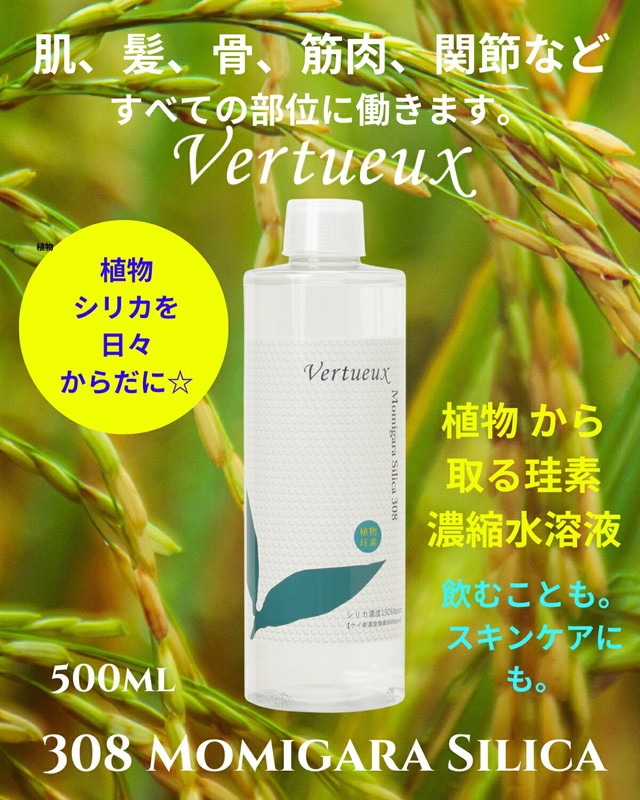 ゆき】ヴィフィーセソープ×2 、ルースパウダー 、サンプロテクト