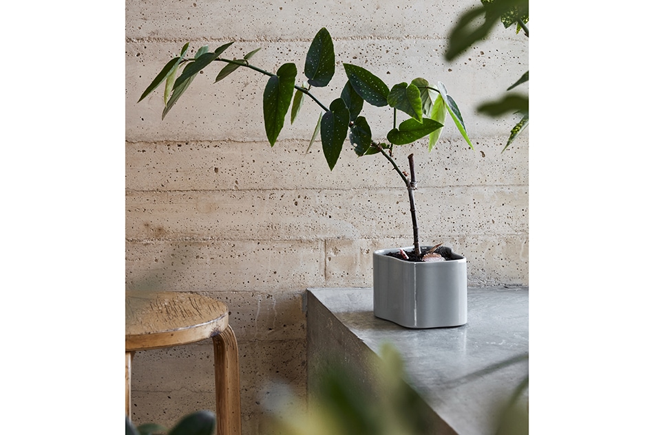 Riihitie Plant Pot（リーヒティエ プラントポット ）/ Artek