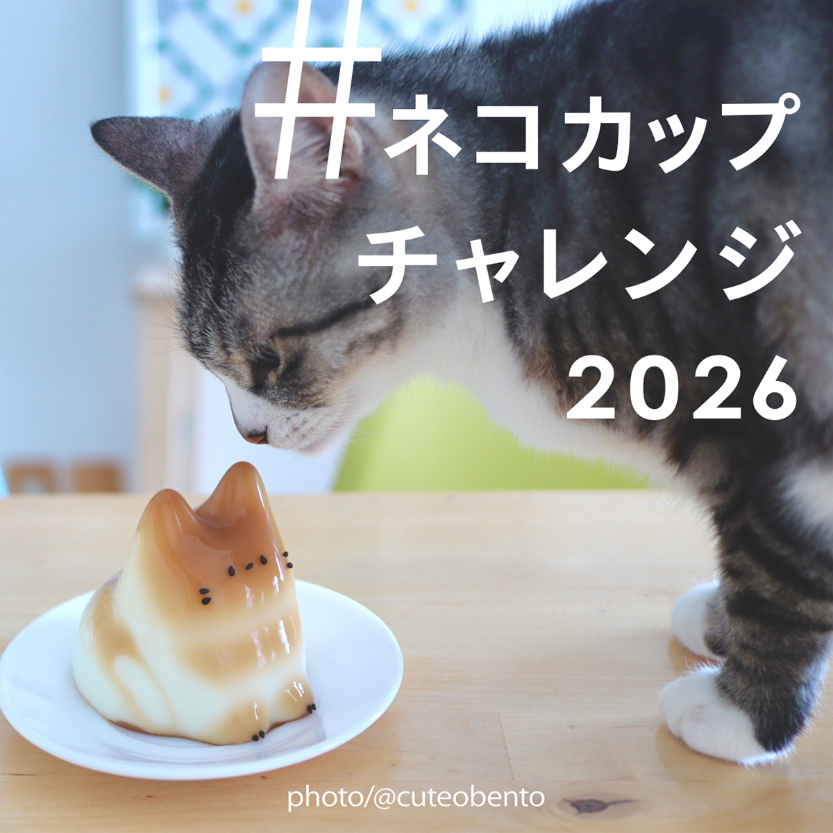 d｜コネコカップ【正規品・3点で送料当社負担・ダンシング猫プリン